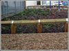 R G Services - Facility Management